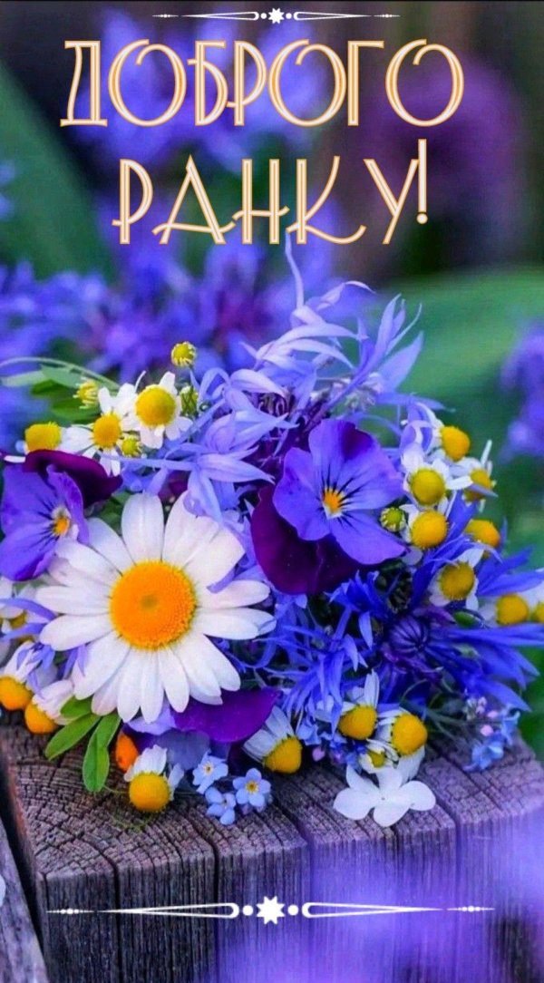 добрий ранок