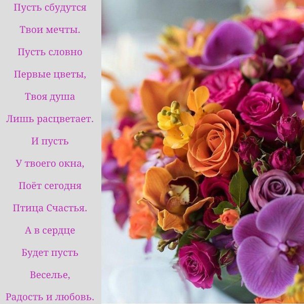 орхидеи фаленопсис