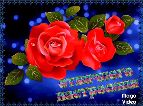 С цветами для вдохновения и хорошего настроения