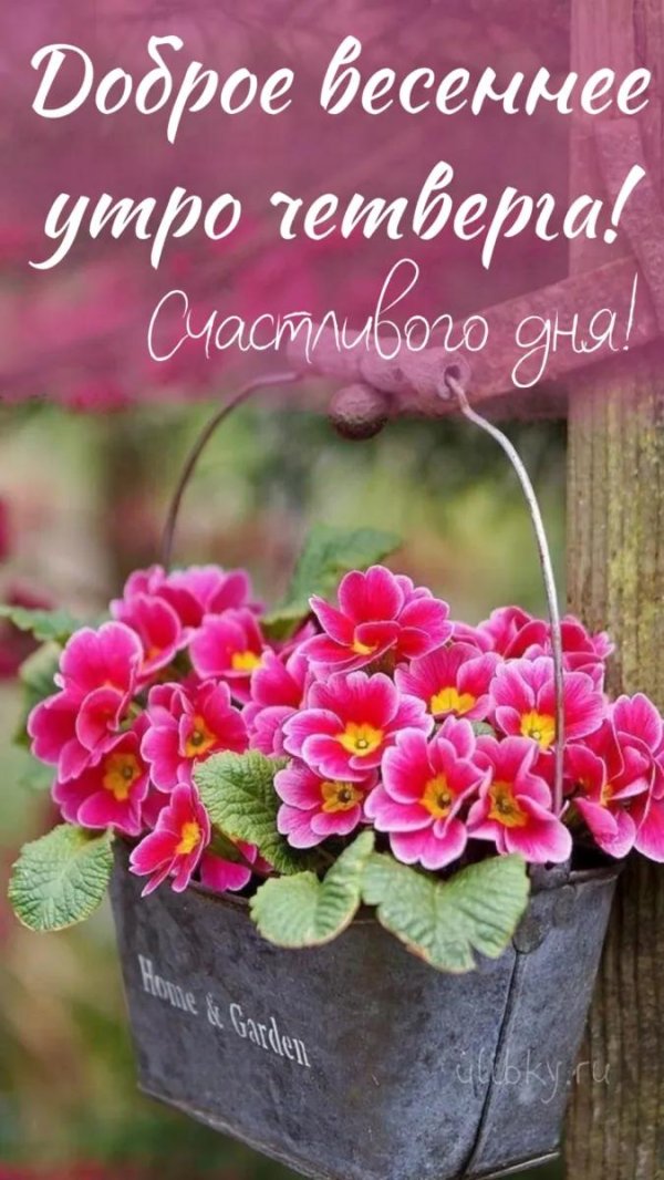 С цветами для вдохновения и хорошего настроения