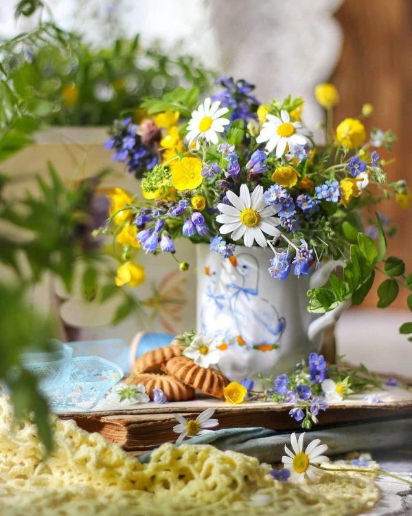 букет полевых цветов