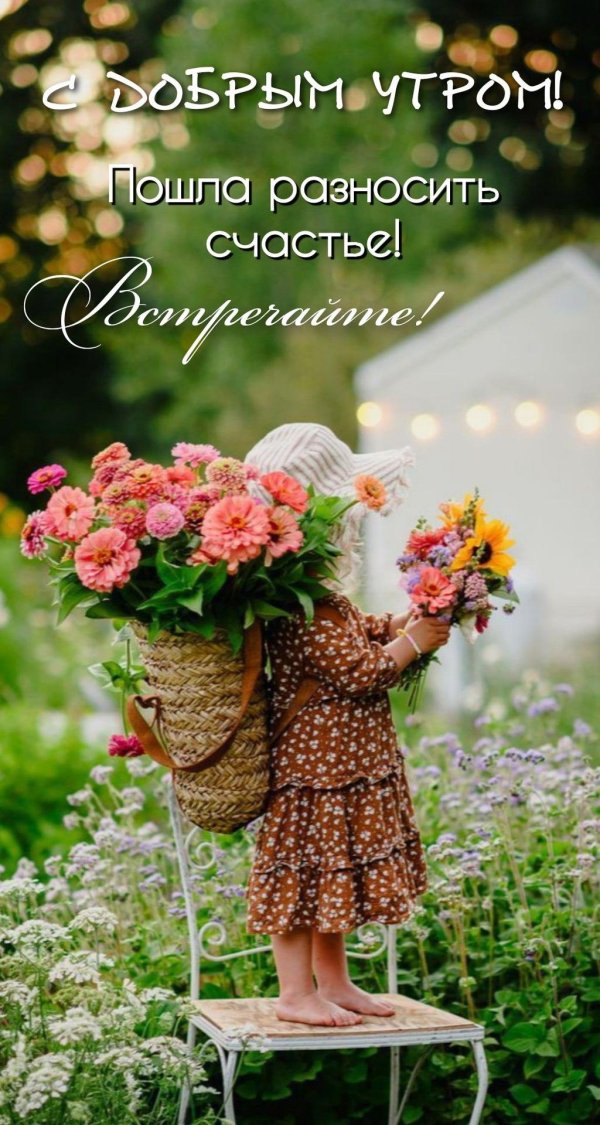 летнего утра