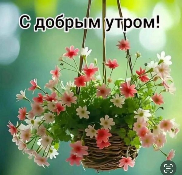 доброго утра летнего