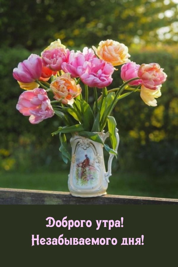 добра утра