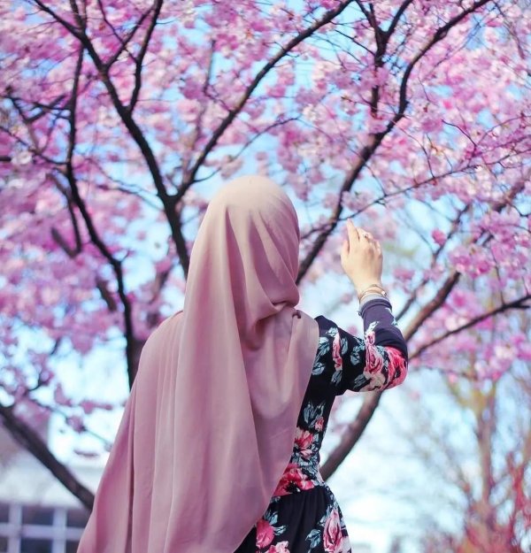 дневник мусульманки