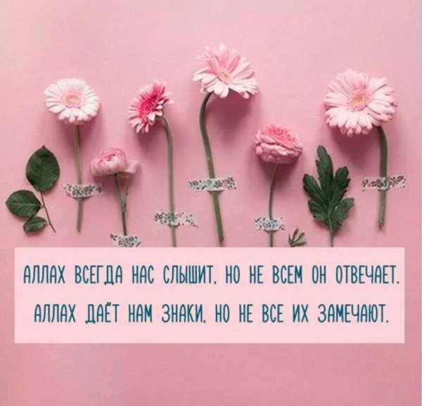 любовь к аллаху
