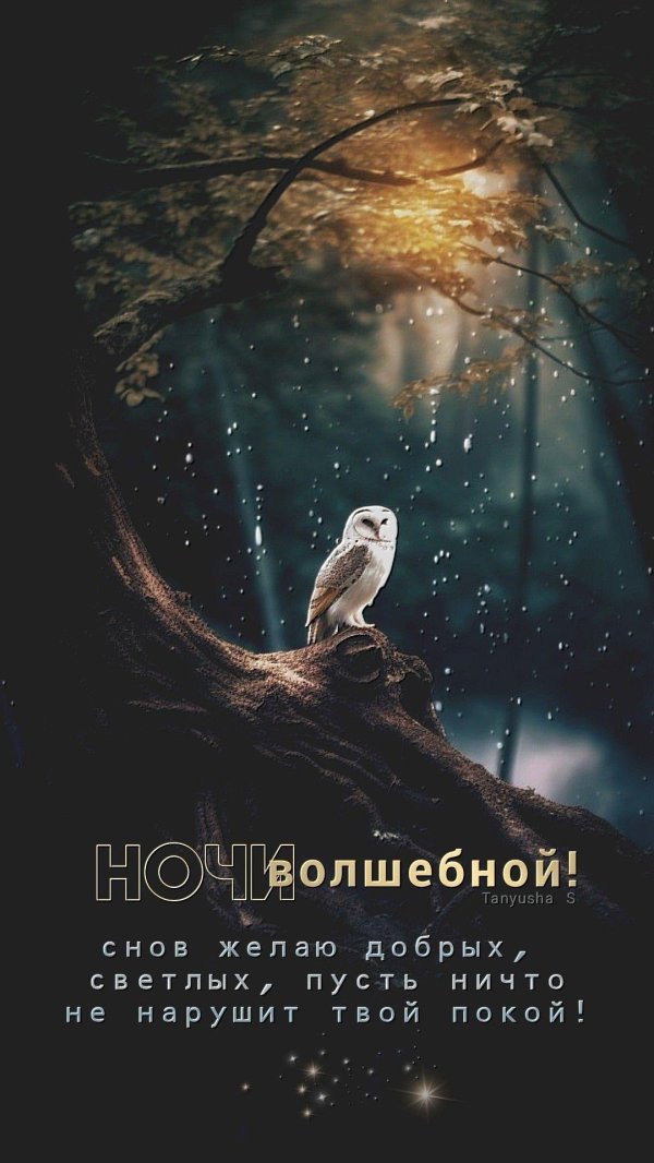 добрая ночь