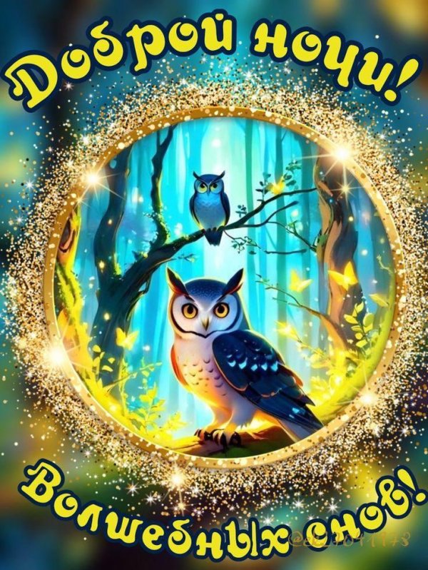ночи доброй