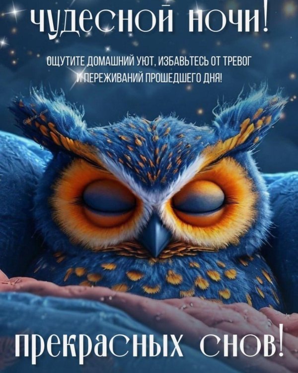 пожелание сладких снов