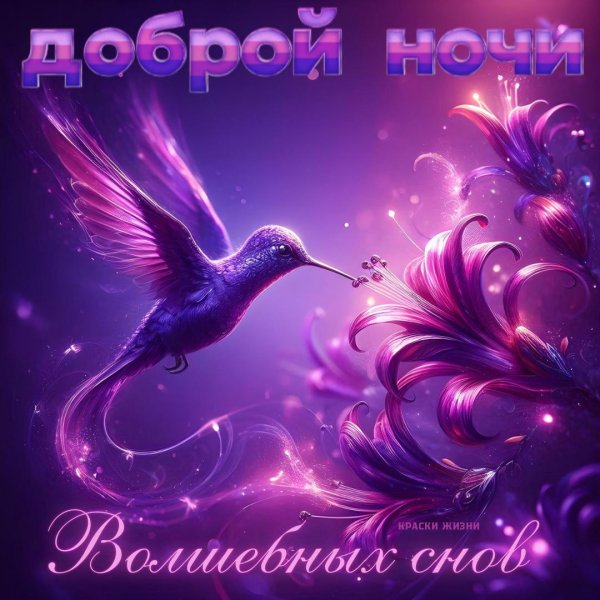 волшебной ночи сказочных снов