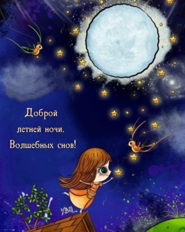 сказочная ночь