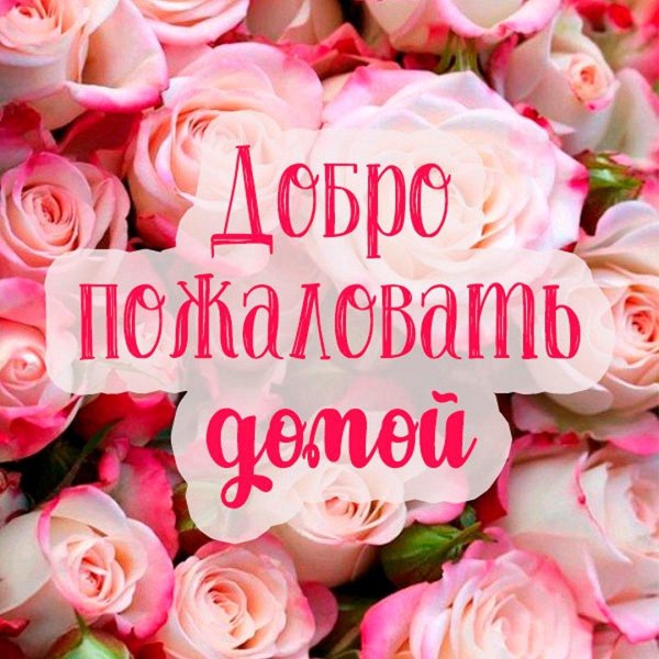 розовые розы