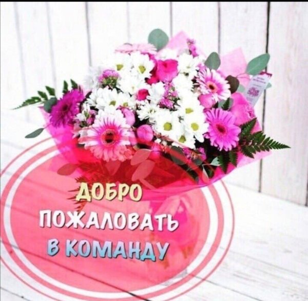 добро пожаловать