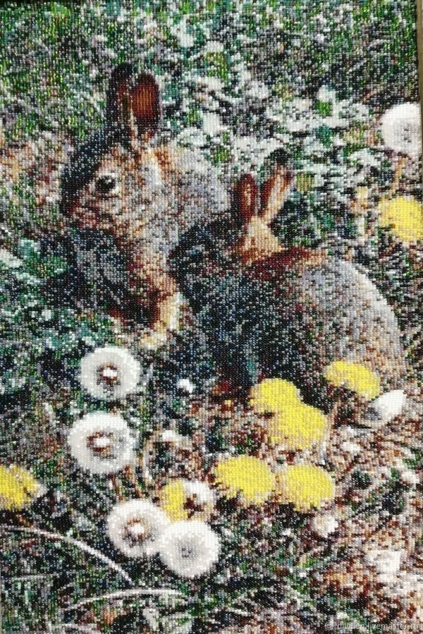 Природы и животных