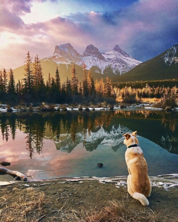 красота природа