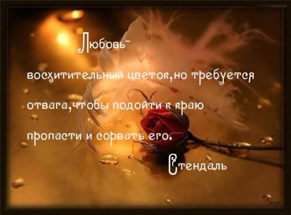 афоризмы о любви