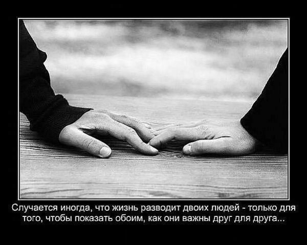 настоящие друзья