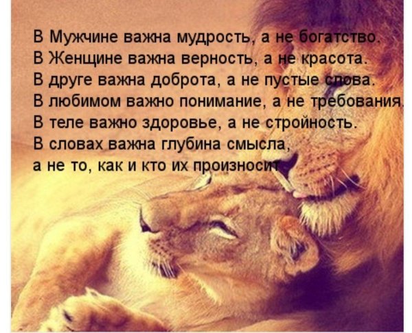 слова мудрые