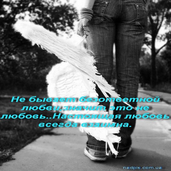 крыло ангела