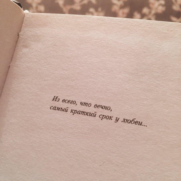 из всего что вечно самый короткий срок у любви