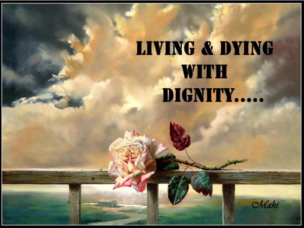 живопись розы