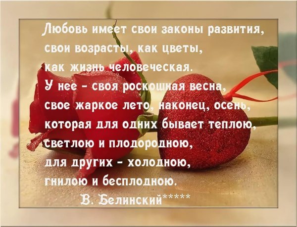 красивый стих