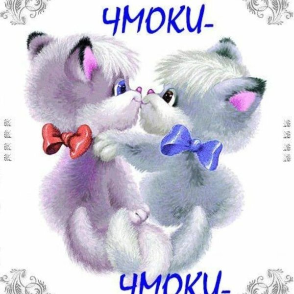 чмоки чмоки