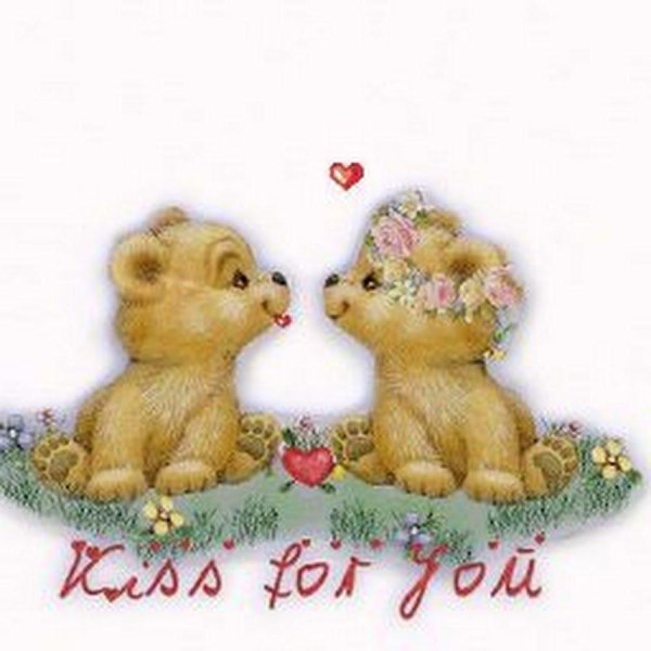 влюбленные медвежата