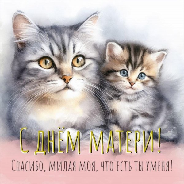 с днем матери котята