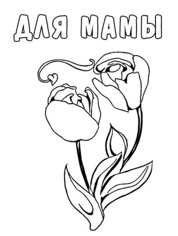 тюльпаны раскраска