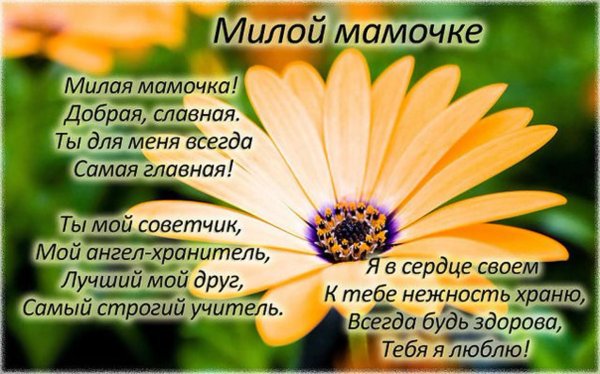 милая мамочка