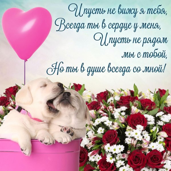 открытка любимой