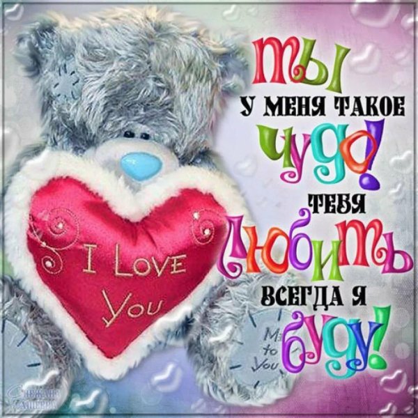 мишка тедди