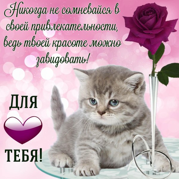 открытки и поздравления