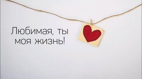 моя жизнь