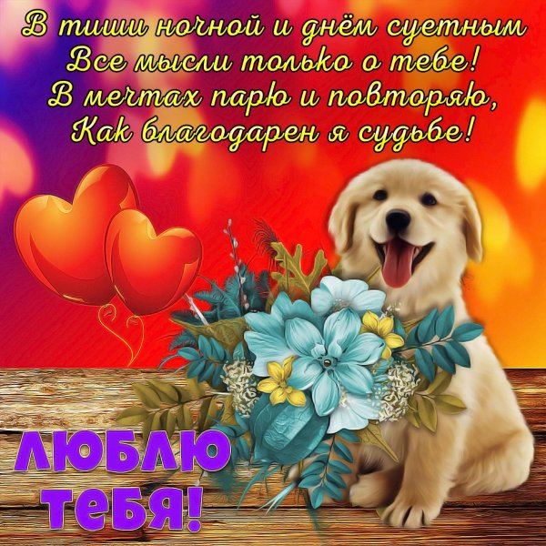 пожелание любимой