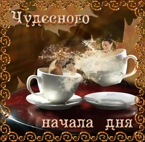 добрый день прекрасного дня