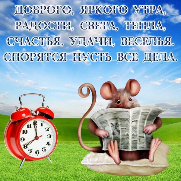 мышь на прозрачном фоне