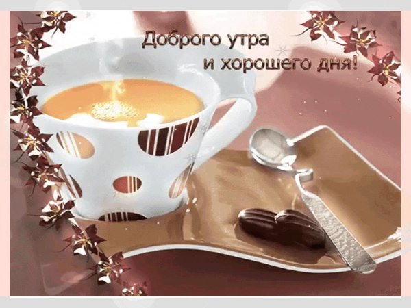 добрый день доброе утро