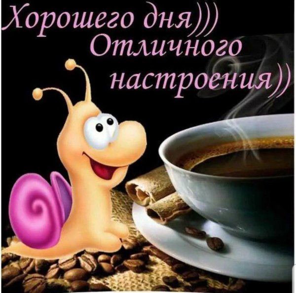 отличного дня и прекрасного настроения прикольные
