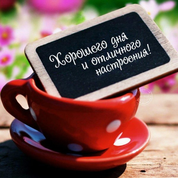 доброго утра хорошего