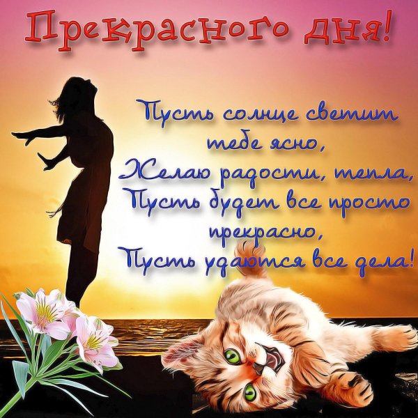 классные пожелания на день