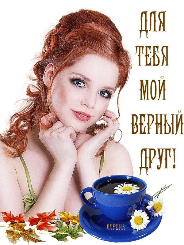 моему другу