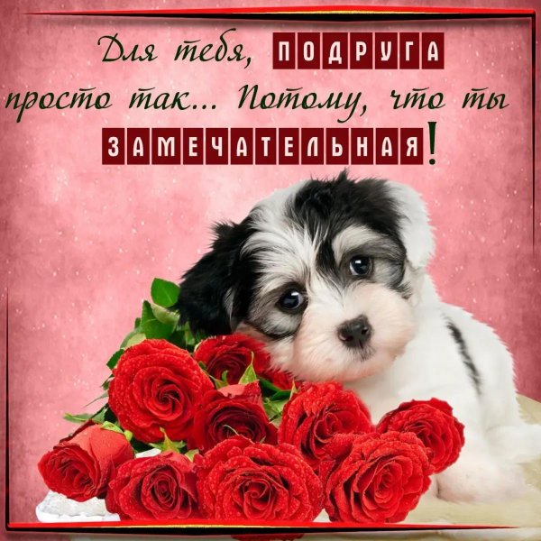 для подруги