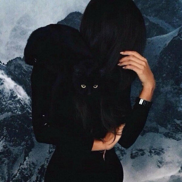 девушка с котами