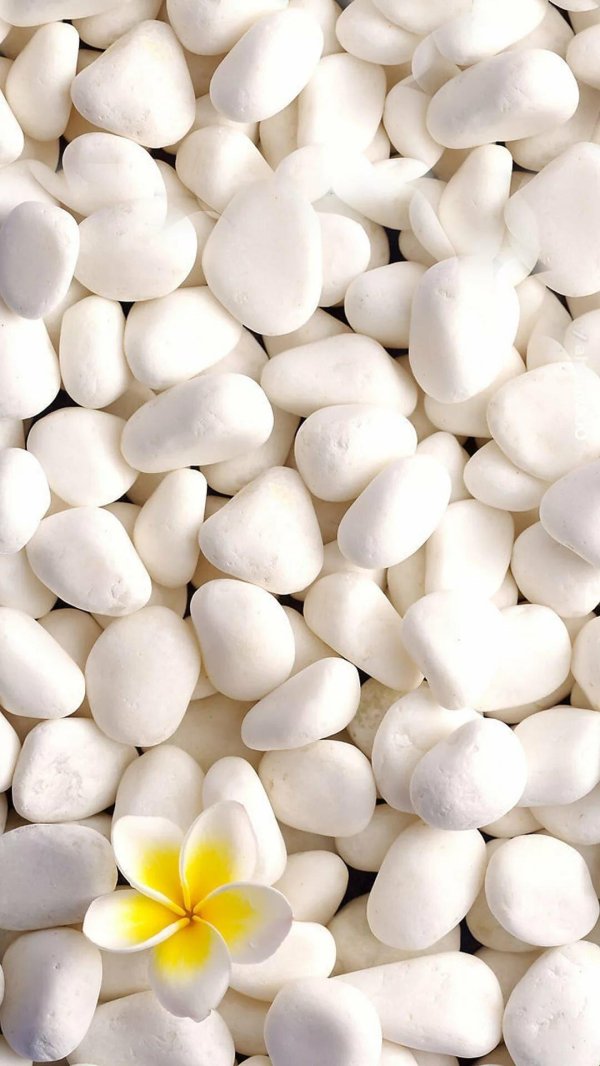 белая галька