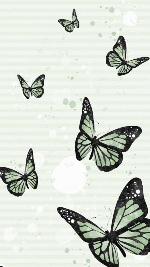 принт бабочки