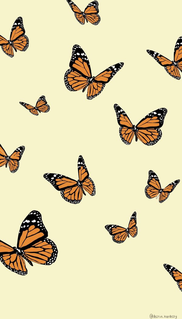 бабочки много