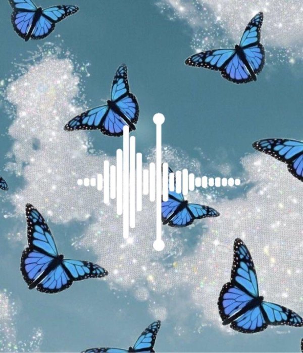 бабочки голубые много