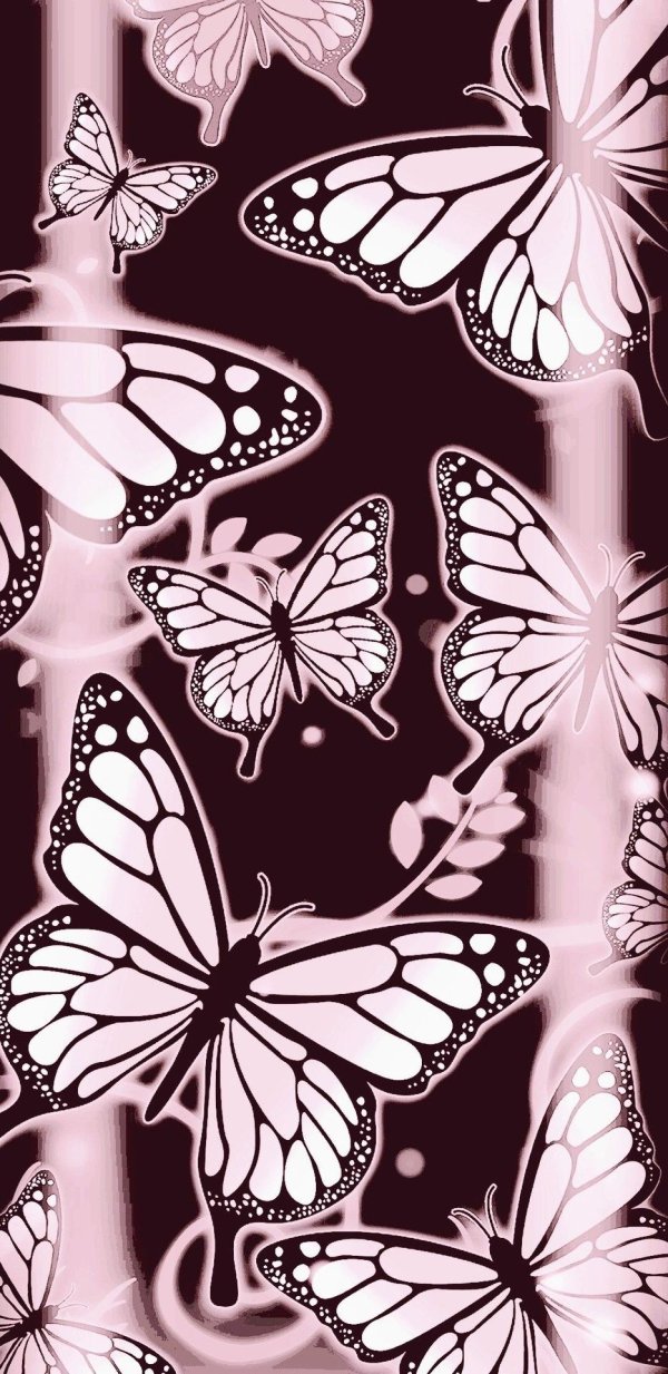 эскиз бабочек